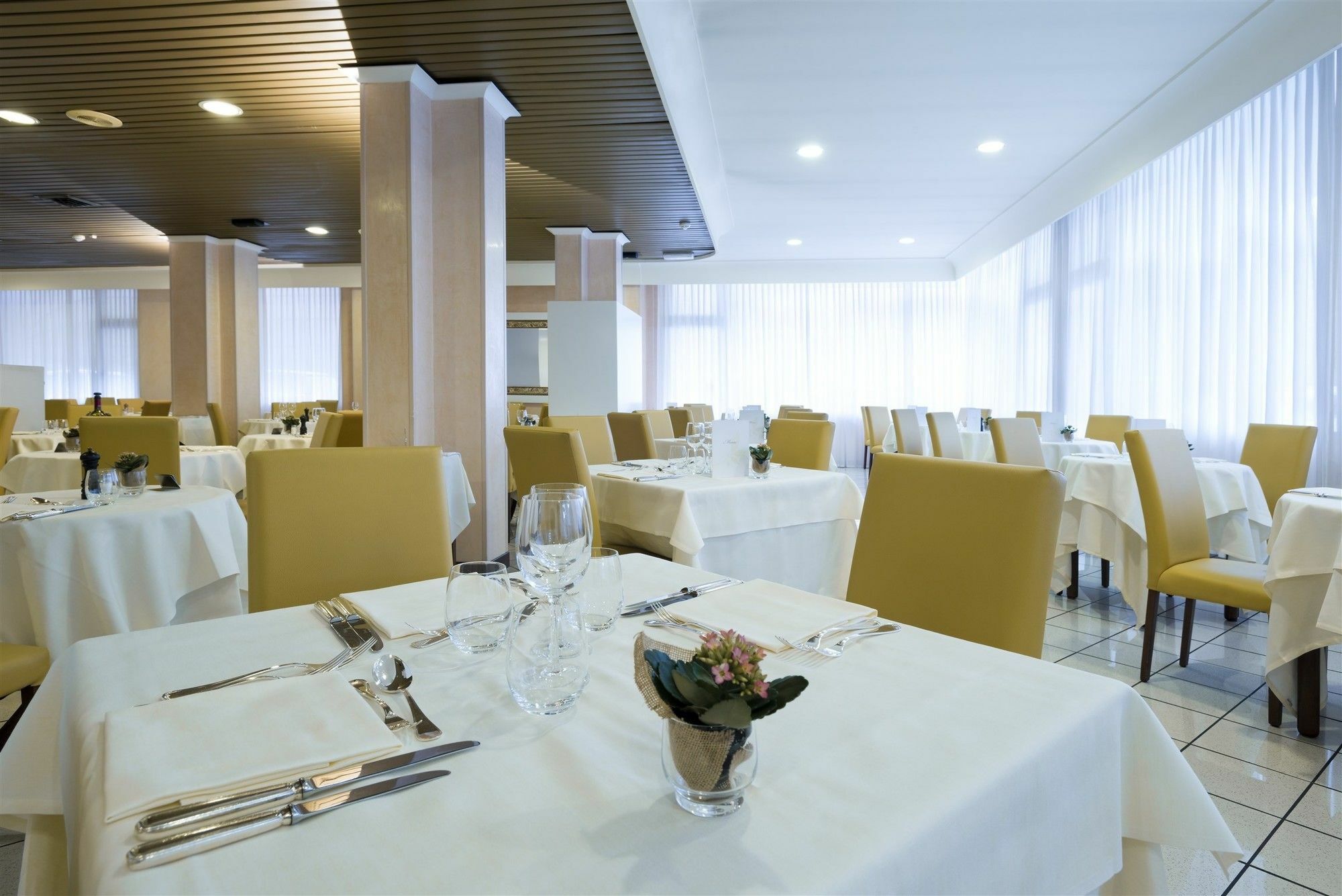 Hotel Terme Olympia Montegrotto Terme Dış mekan fotoğraf